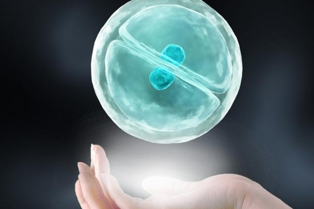 试管代怀期间甲状腺素偏高如何缓解